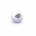 Pelotas de entrenamiento GEWO *** 40+ 12er blanco/naranja