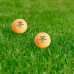 Pelota GEWO AWR Outdoor 40+ 6er 